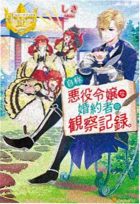 黑土风暴 电影封面